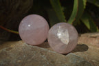 Polished Star Rose Quartz Spheres x 3 From Madagascar - Toprock Gemstones and Minerals 