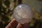 Polished Star Rose Quartz Spheres x 3 From Madagascar - Toprock Gemstones and Minerals 