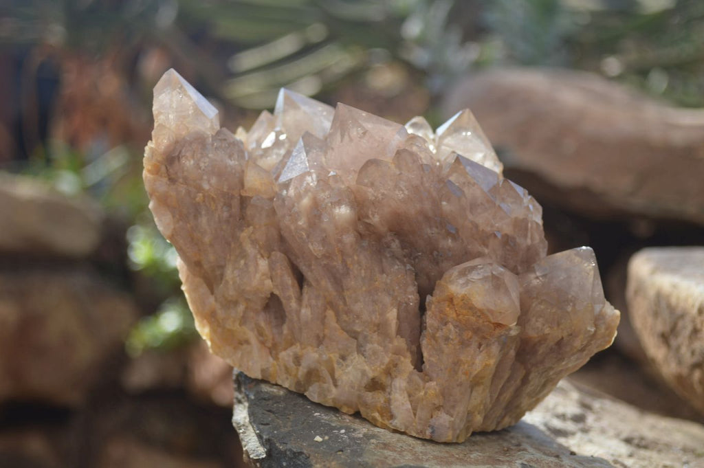 Natural Smokey Quartz Clusters x 2 From Luena, Congo - Toprock Gemstones and Minerals 