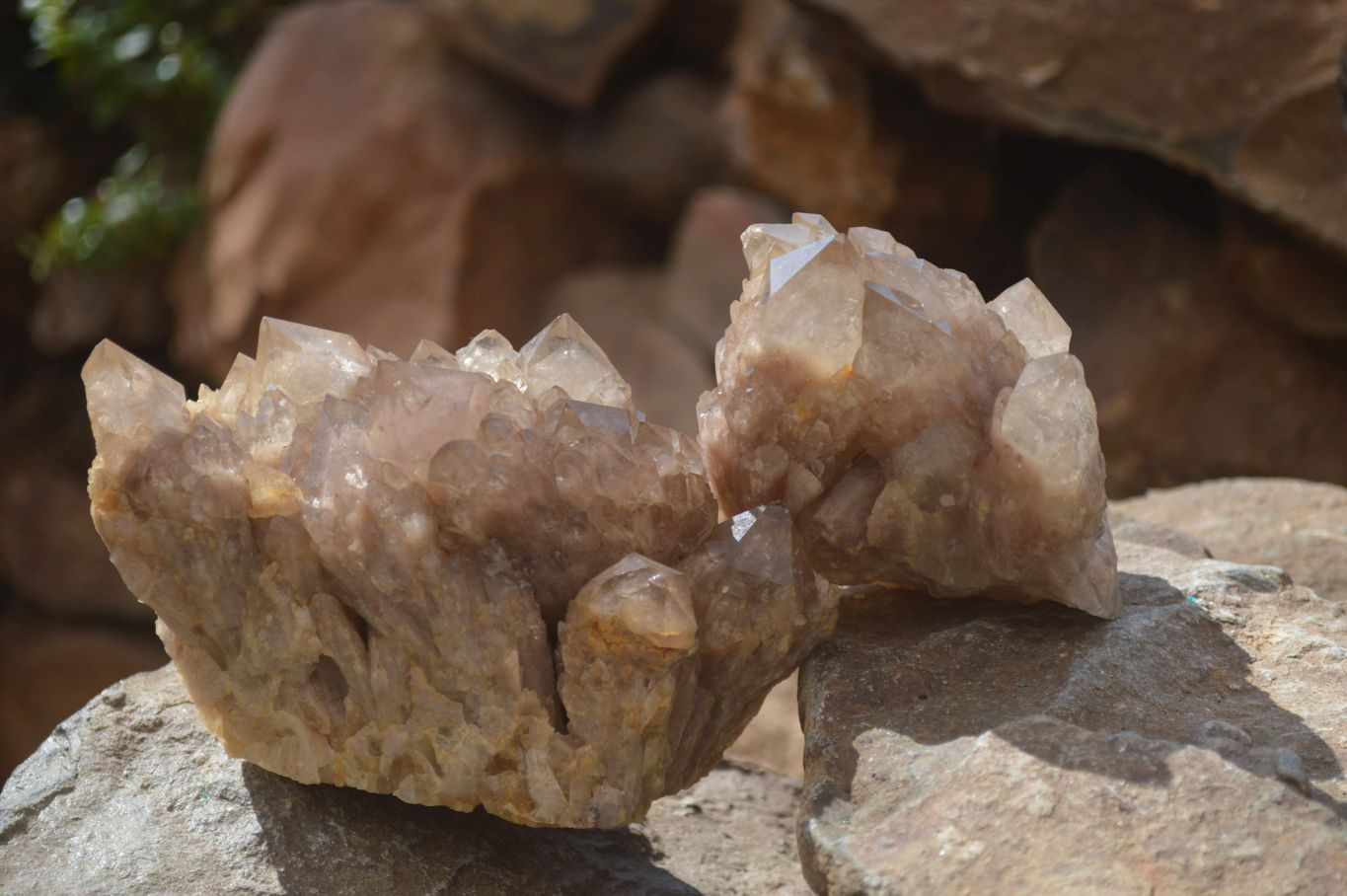 Natural Smokey Quartz Clusters x 2 From Luena, Congo - Toprock Gemstones and Minerals 