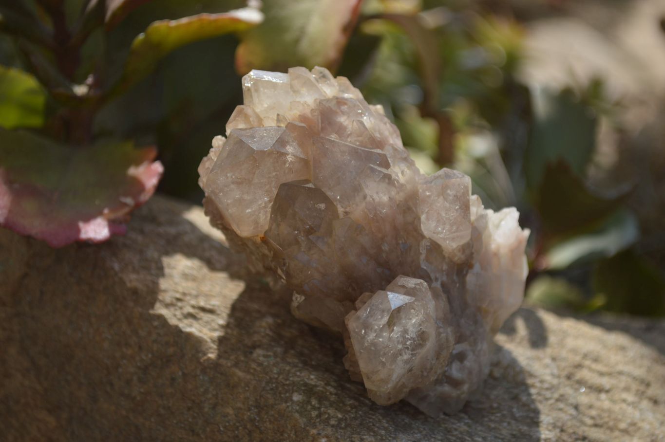 Natural Smokey Quartz Clusters x 2 From Luena, Congo - Toprock Gemstones and Minerals 