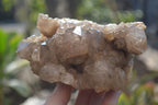 Natural Smokey Quartz Clusters x 2 From Luena, Congo - Toprock Gemstones and Minerals 