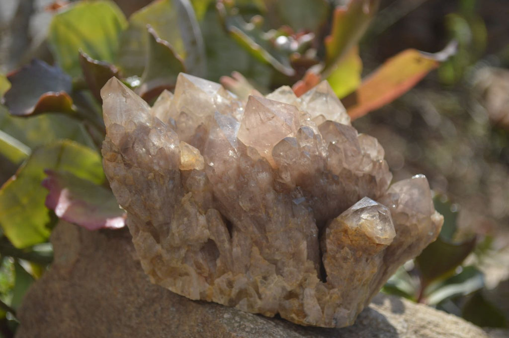 Natural Smokey Quartz Clusters x 2 From Luena, Congo - Toprock Gemstones and Minerals 