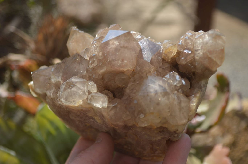 Natural Smokey Quartz Clusters x 2 From Luena, Congo - Toprock Gemstones and Minerals 