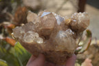 Natural Smokey Quartz Clusters x 2 From Luena, Congo - Toprock Gemstones and Minerals 