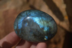 Polished Labradorite Galets / Palm Stones x 12 From Tulear, Madagascar - Toprock Gemstones and Minerals 