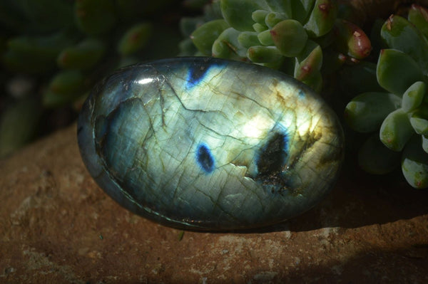 Polished Labradorite Galets / Palm Stones x 12 From Tulear, Madagascar - Toprock Gemstones and Minerals 