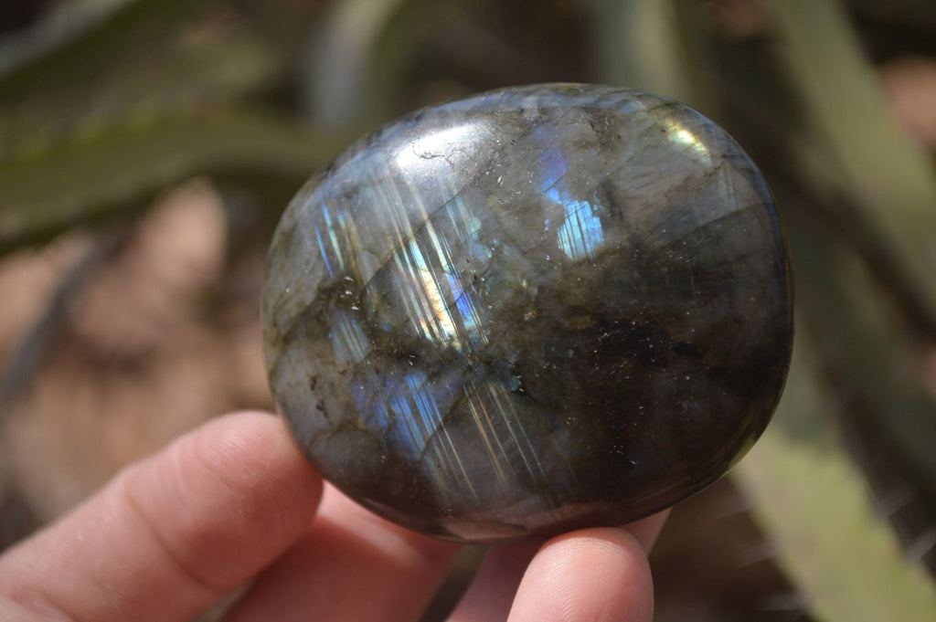 Polished Labradorite Galets / Palm Stones x 12 From Tulear, Madagascar - Toprock Gemstones and Minerals 