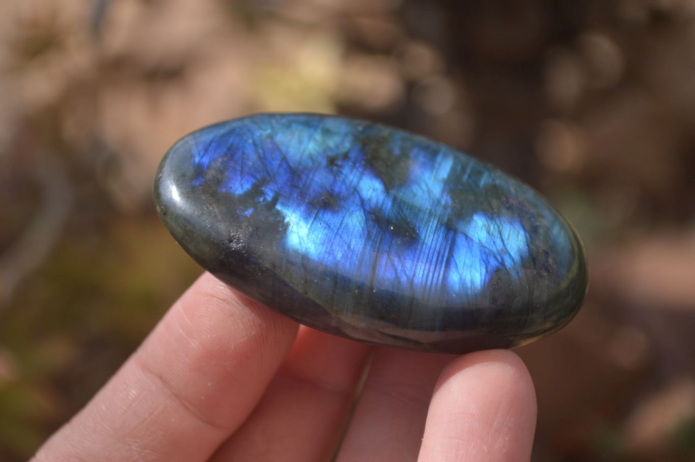 Polished Labradorite Galets / Palm Stones x 12 From Tulear, Madagascar - Toprock Gemstones and Minerals 