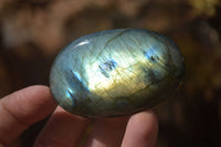 Polished Labradorite Galets / Palm Stones x 12 From Tulear, Madagascar - Toprock Gemstones and Minerals 