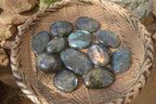 Polished Labradorite Galets / Palm Stones x 12 From Tulear, Madagascar - Toprock Gemstones and Minerals 