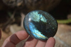 Polished Labradorite Galets / Palm Stones x 12 From Tulear, Madagascar - Toprock Gemstones and Minerals 