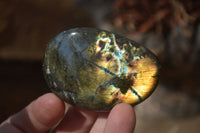 Polished Labradorite Galets / Palm Stones x 12 From Tulear, Madagascar - Toprock Gemstones and Minerals 