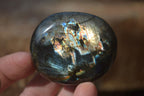 Polished Labradorite Galets / Palm Stones x 12 From Tulear, Madagascar - Toprock Gemstones and Minerals 