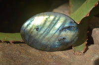 Polished Labradorite Galets / Palm Stones x 12 From Tulear, Madagascar - Toprock Gemstones and Minerals 