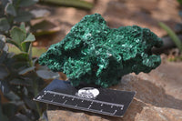 Natural Silky Malachite Specimens x 3 From Congo - Toprock Gemstones and Minerals 
