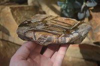 Polished On One Side Nguni Jasper Specimens x 2 From Prieska, South Africa - Toprock Gemstones and Minerals 