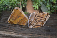 Polished On One Side Nguni Jasper Specimens x 2 From Prieska, South Africa - Toprock Gemstones and Minerals 