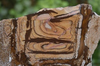 Polished On One Side Nguni Jasper Specimens x 2 From Prieska, South Africa - Toprock Gemstones and Minerals 