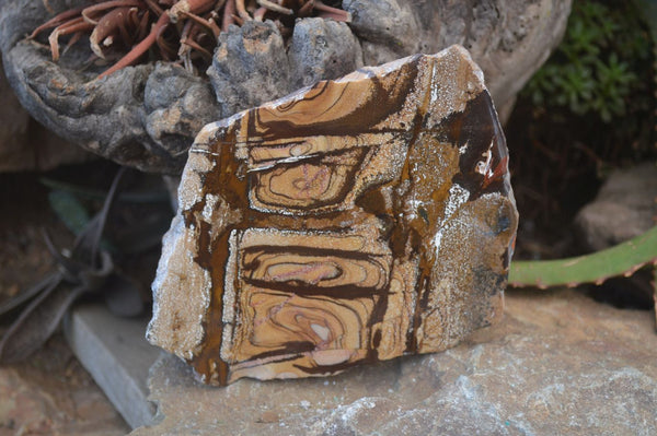 Polished On One Side Nguni Jasper Specimens x 2 From Prieska, South Africa - Toprock Gemstones and Minerals 