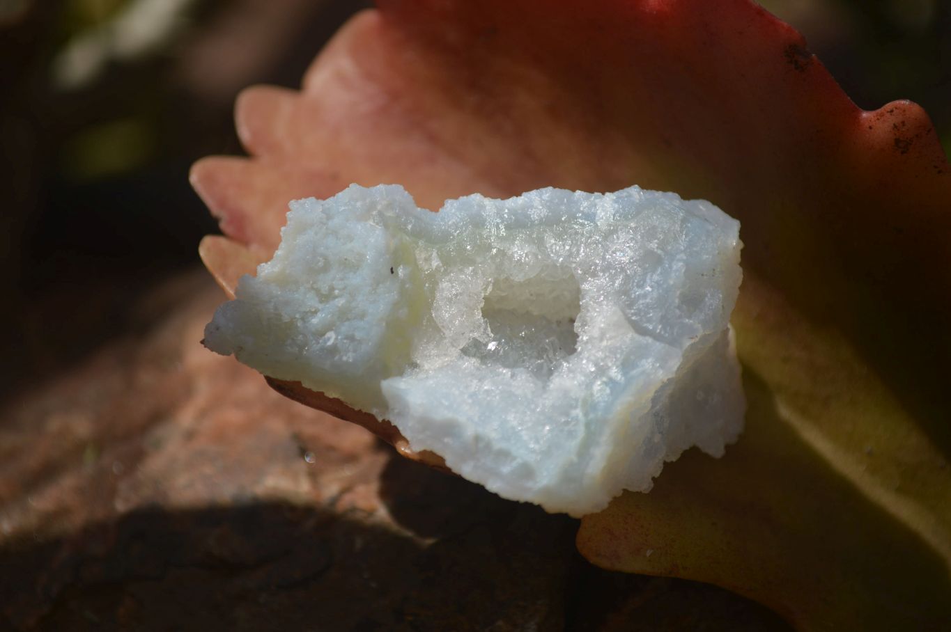 Natural Etched Blue Chalcedony Specimens x  From Nsanje, Malawi - Toprock Gemstones and Minerals 