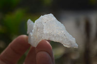 Natural Etched Blue Chalcedony Specimens x  From Nsanje, Malawi - Toprock Gemstones and Minerals 