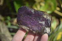 Natural Purpurite Specimens x 12 From Erongo, Namibia - Toprock Gemstones and Minerals 
