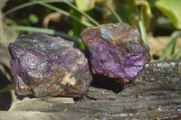 Natural Purpurite Specimens x 12 From Erongo, Namibia - Toprock Gemstones and Minerals 