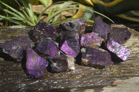 Natural Purpurite Specimens x 12 From Erongo, Namibia - Toprock Gemstones and Minerals 