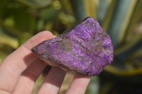 Natural Purpurite Specimens x 12 From Erongo, Namibia - Toprock Gemstones and Minerals 