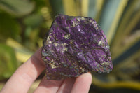 Natural Purpurite Specimens x 12 From Erongo, Namibia - Toprock Gemstones and Minerals 