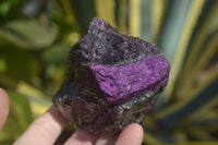 Natural Purpurite Specimens x 12 From Erongo, Namibia - Toprock Gemstones and Minerals 