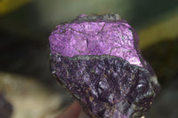 Natural Purpurite Specimens x 12 From Erongo, Namibia - Toprock Gemstones and Minerals 