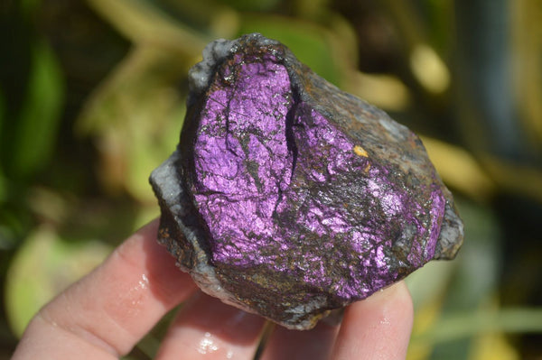 Natural Purpurite Specimens x 12 From Erongo, Namibia - Toprock Gemstones and Minerals 
