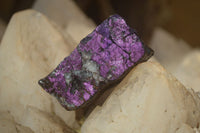 Natural Purpurite Specimens x 12 From Erongo, Namibia - Toprock Gemstones and Minerals 