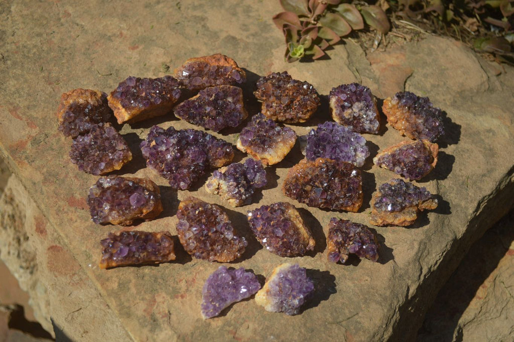 Natural Amethyst Plates x 35 From Kwaggafontein, South Africa - Toprock Gemstones and Minerals 