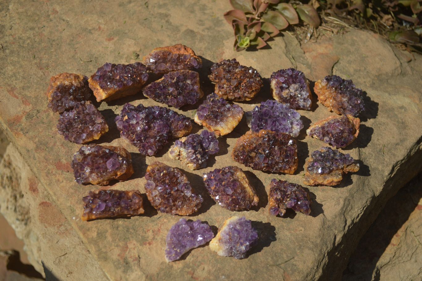 Natural Amethyst Plates x 35 From Kwaggafontein, South Africa - Toprock Gemstones and Minerals 