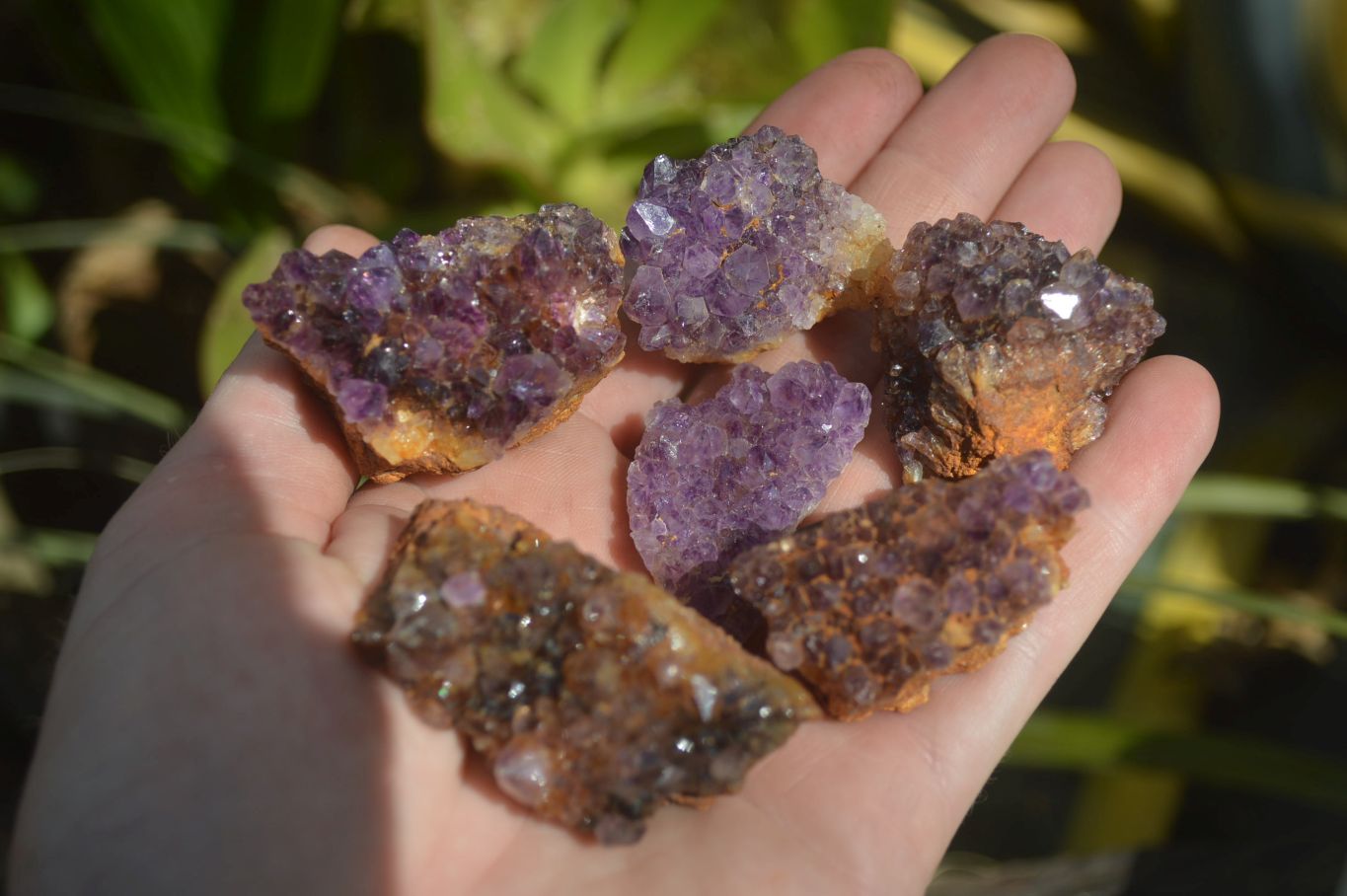 Natural Amethyst Plates x 35 From Kwaggafontein, South Africa - Toprock Gemstones and Minerals 