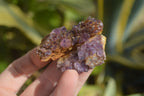 Natural Amethyst Plates x 35 From Kwaggafontein, South Africa - Toprock Gemstones and Minerals 