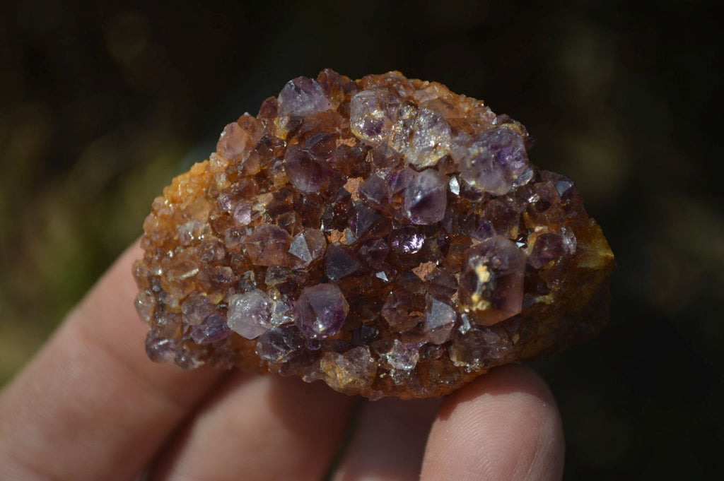 Natural Amethyst Plates x 35 From Kwaggafontein, South Africa - Toprock Gemstones and Minerals 