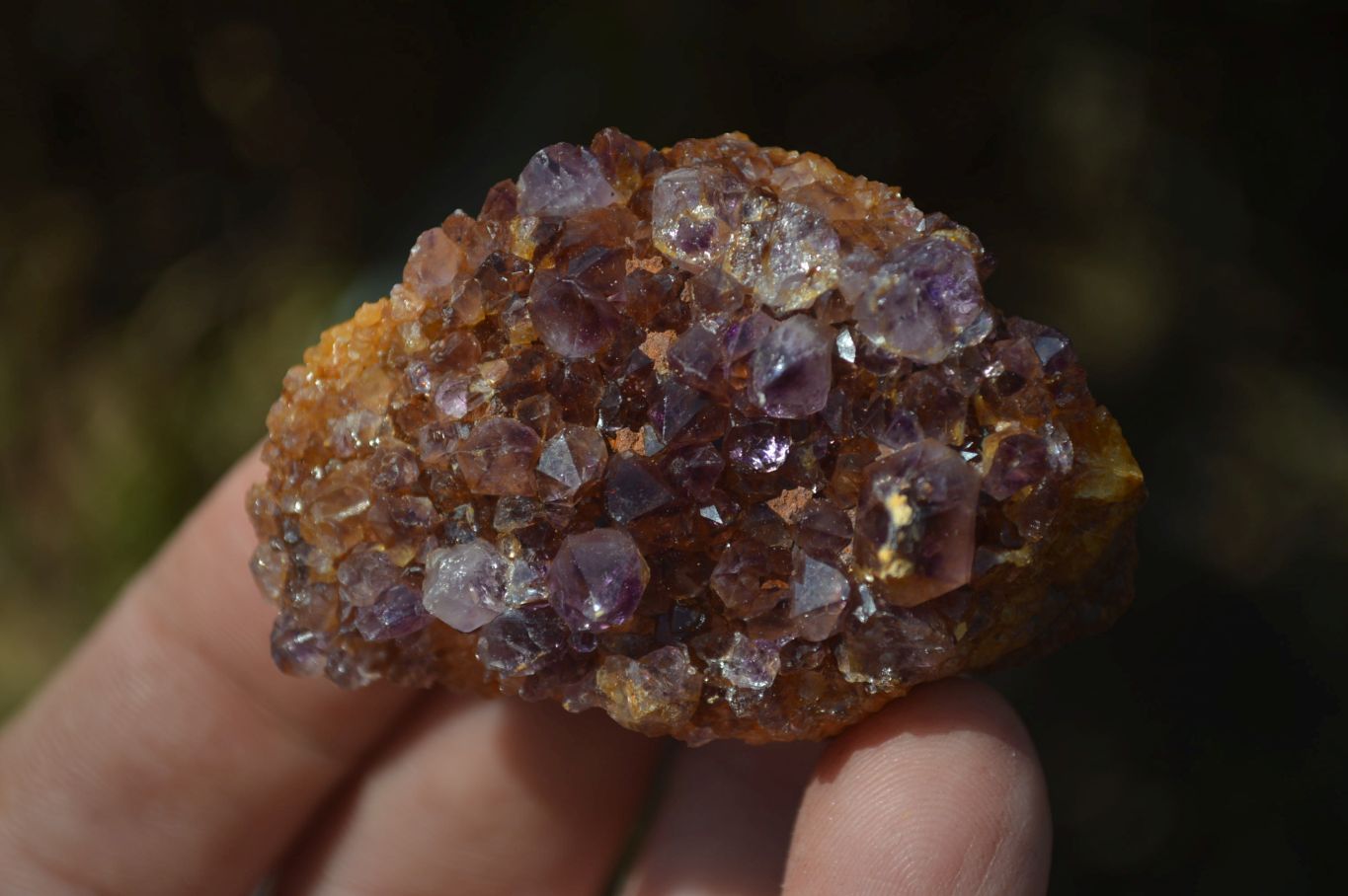 Natural Amethyst Plates x 35 From Kwaggafontein, South Africa - Toprock Gemstones and Minerals 