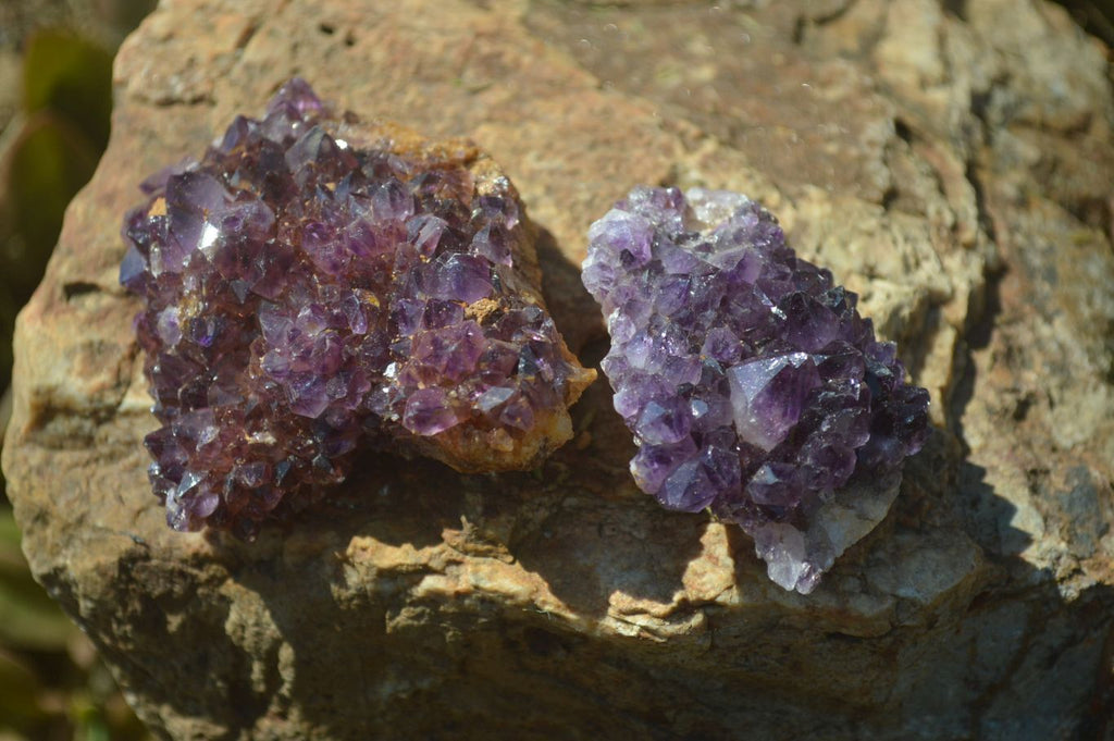 Natural Amethyst Plates x 35 From Kwaggafontein, South Africa - Toprock Gemstones and Minerals 