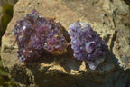 Natural Amethyst Plates x 35 From Kwaggafontein, South Africa - Toprock Gemstones and Minerals 