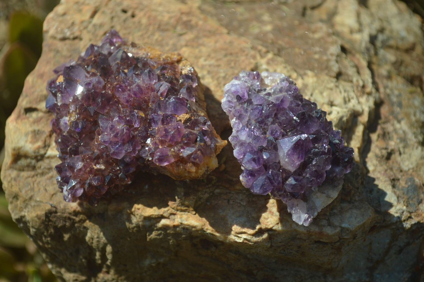 Natural Amethyst Plates x 35 From Kwaggafontein, South Africa - Toprock Gemstones and Minerals 