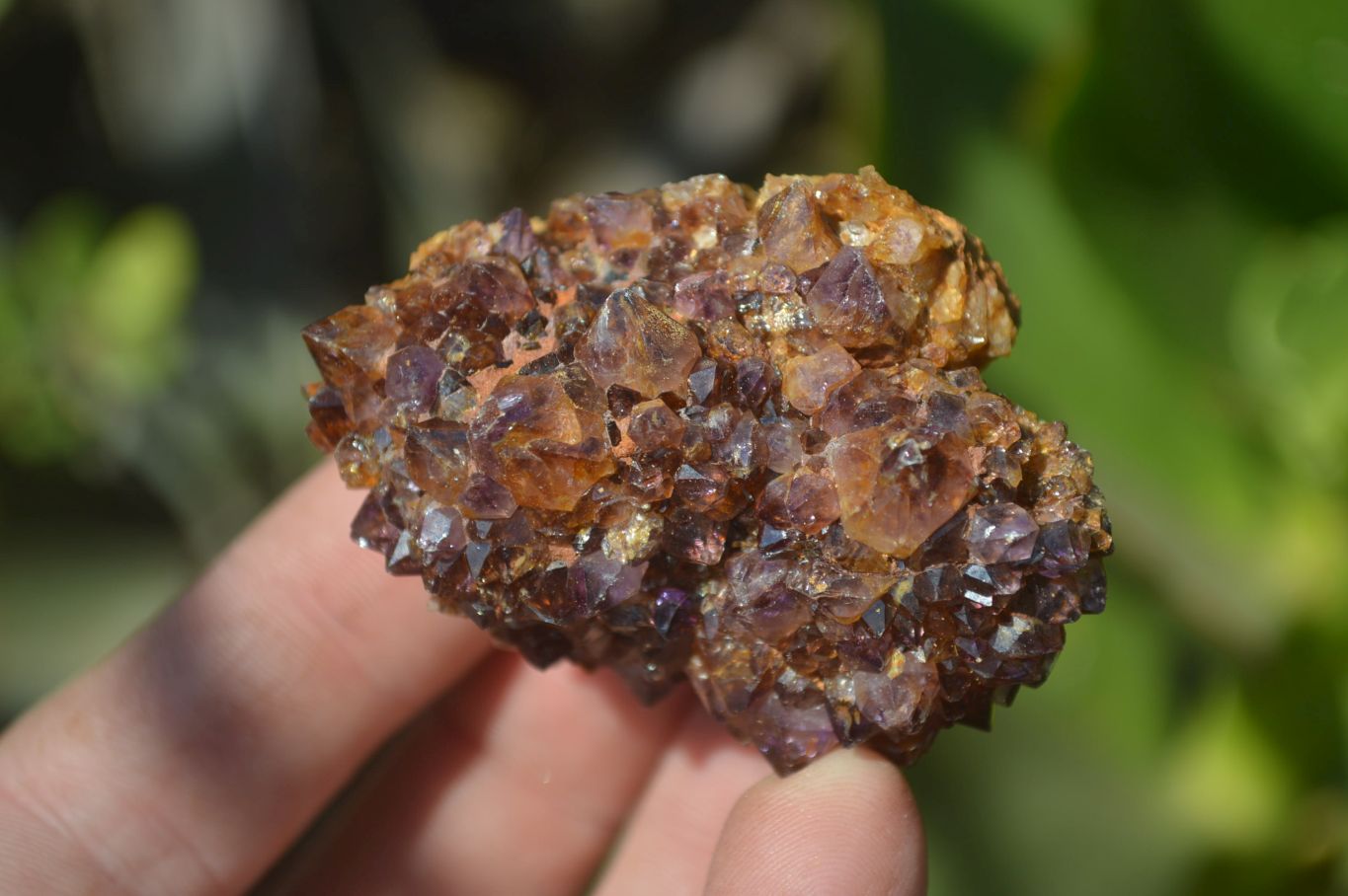 Natural Amethyst Plates x 35 From Kwaggafontein, South Africa - Toprock Gemstones and Minerals 