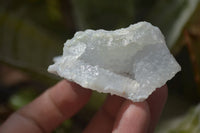 Natural Etched Blue Chalcedony Specimens x 12 From Nsanje, Malawi - Toprock Gemstones and Minerals 