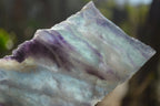 Polished One Side Watermelon Fluorite x 4 From Uis, Namibia - Toprock Gemstones and Minerals 