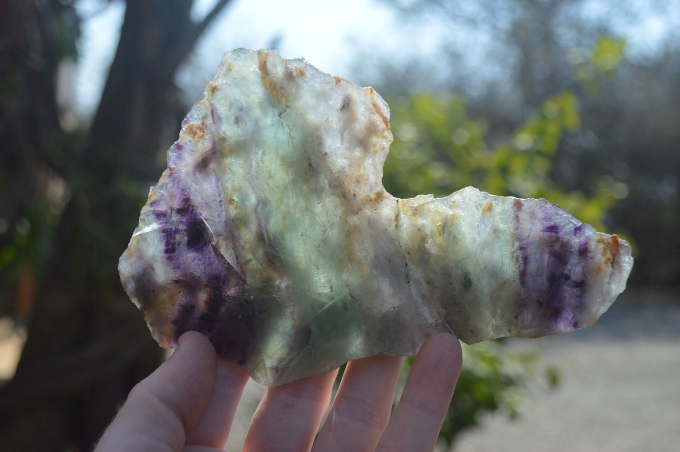 Polished One Side Watermelon Fluorite x 4 From Uis, Namibia - Toprock Gemstones and Minerals 