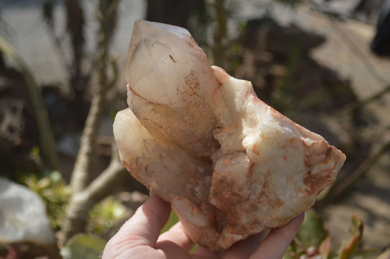 Natural Hematoid Quartz Clusters x 2 From Karoi, Zimbabwe - Toprock Gemstones and Minerals 