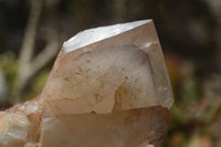 Natural Hematoid Quartz Clusters x 2 From Karoi, Zimbabwe - Toprock Gemstones and Minerals 